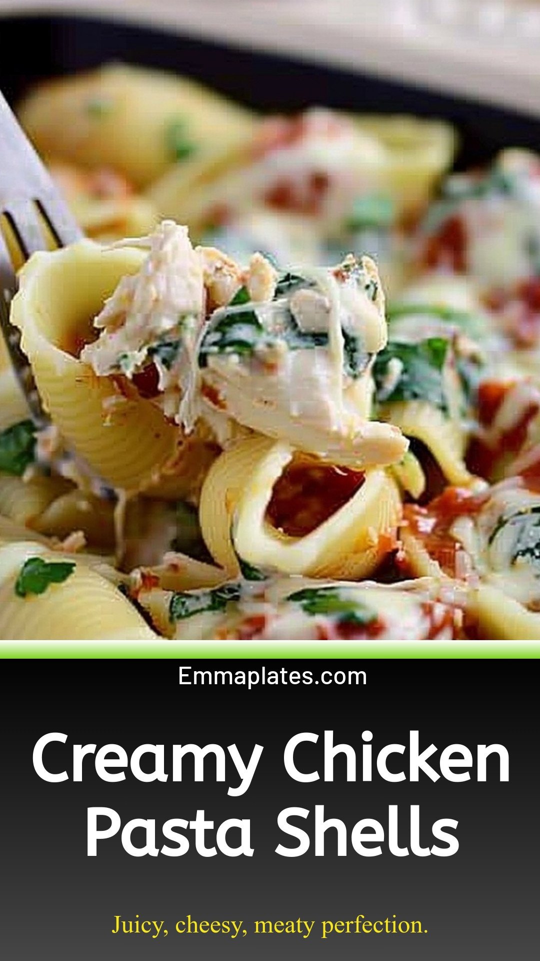 Creamy Chicken Pasta Shells