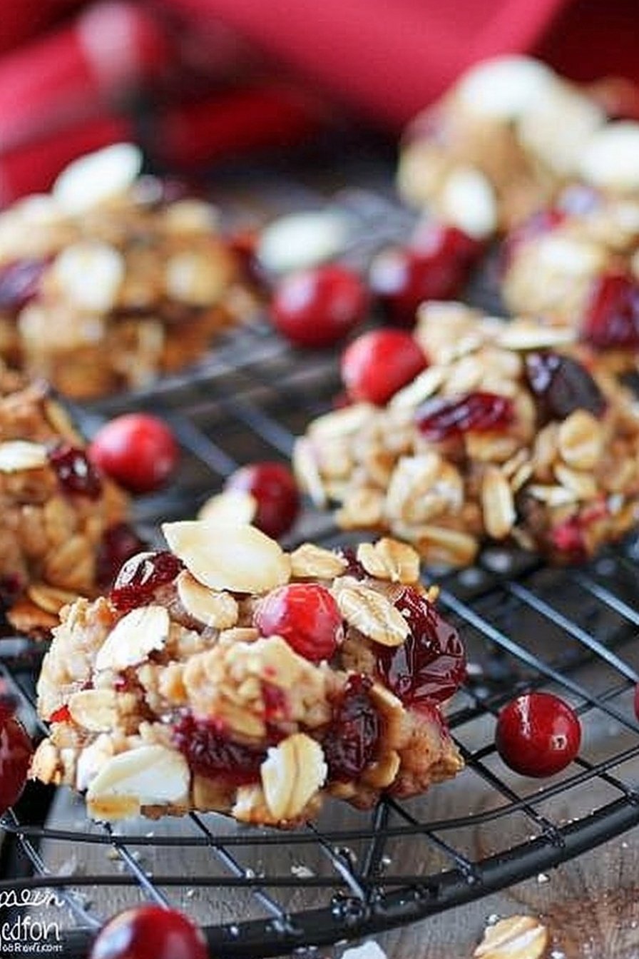 Festive Cranberry Oatmeal Bites
