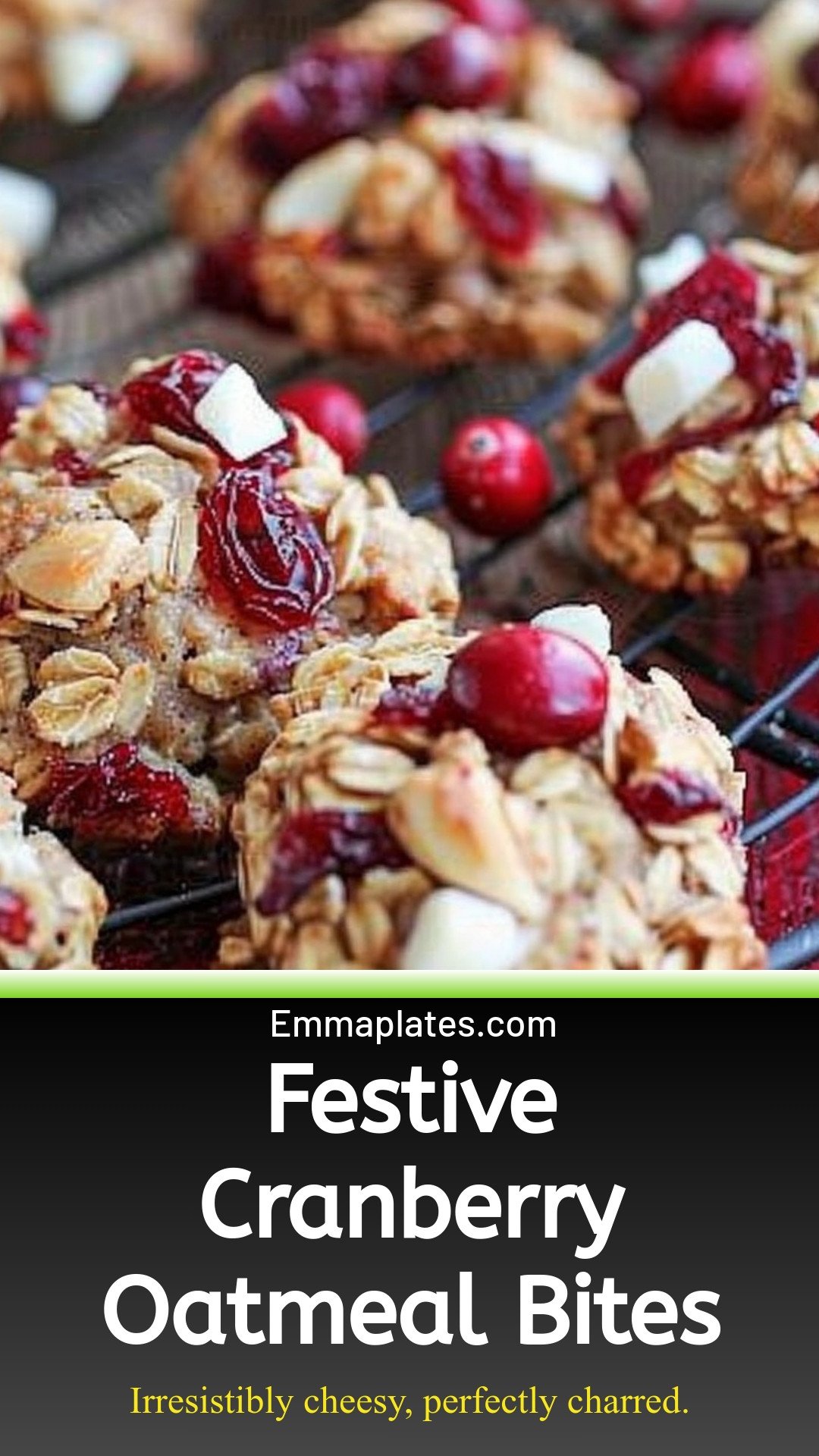 Festive Cranberry Oatmeal Bites