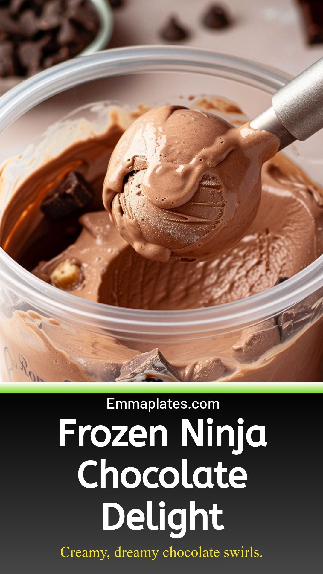 Frozen Ninja Chocolate Delight
