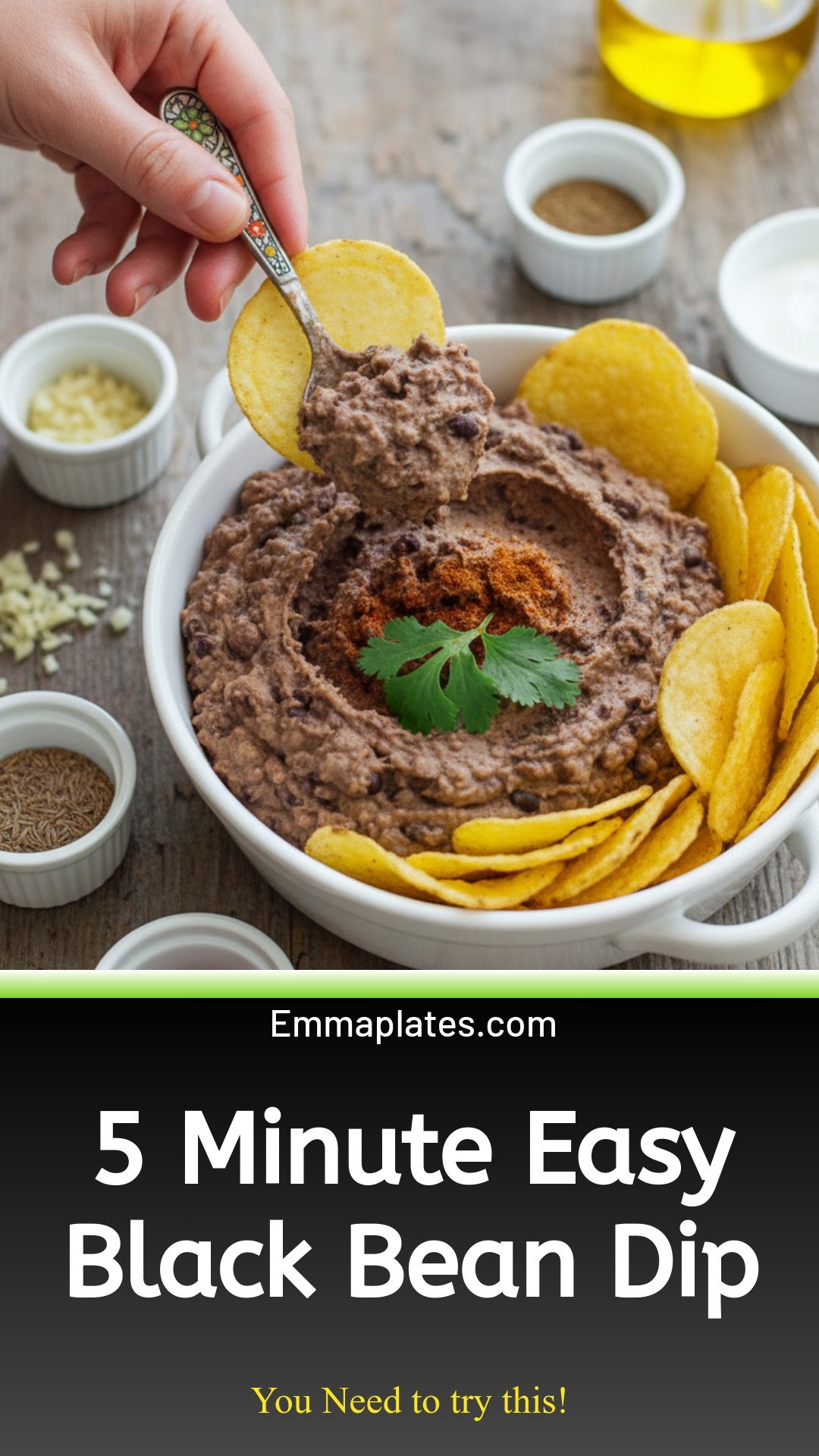 Easy Black Bean Dip (Ready in 5 Minutes)