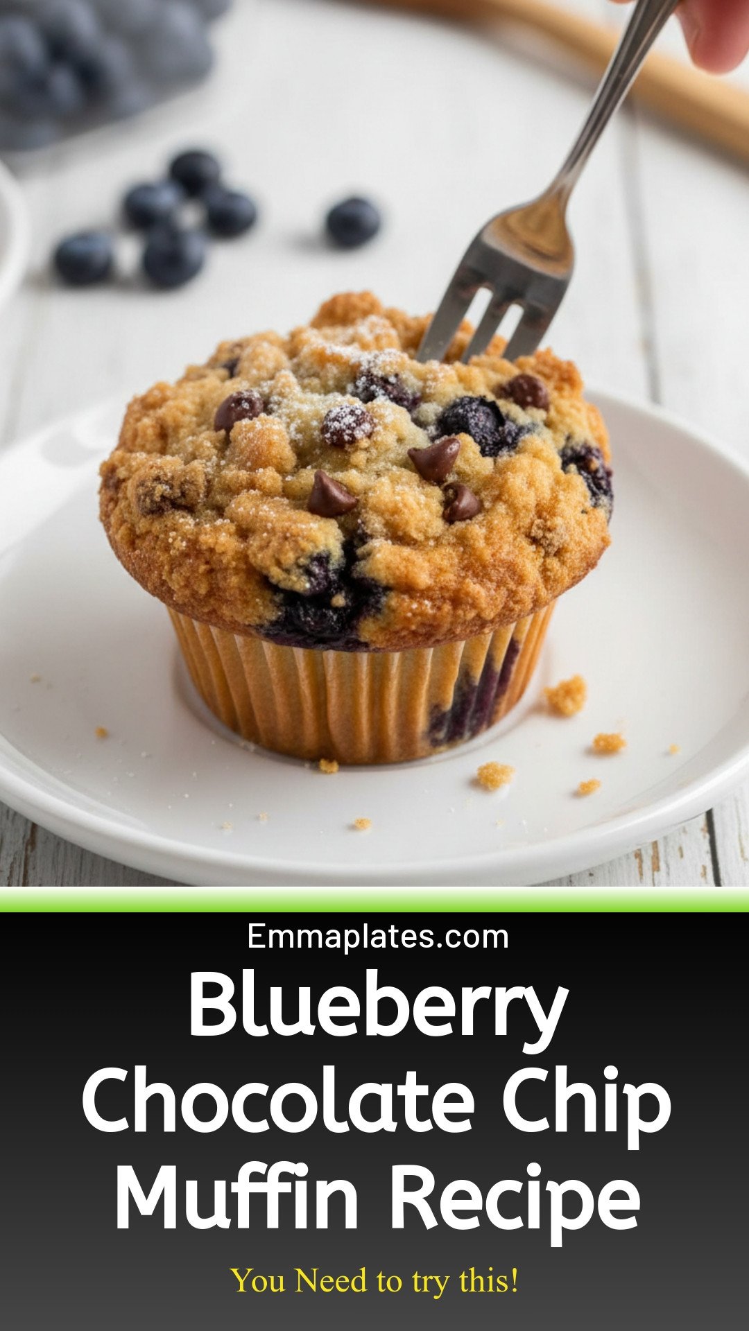 Blueberry Chocolate Chip Muffins
