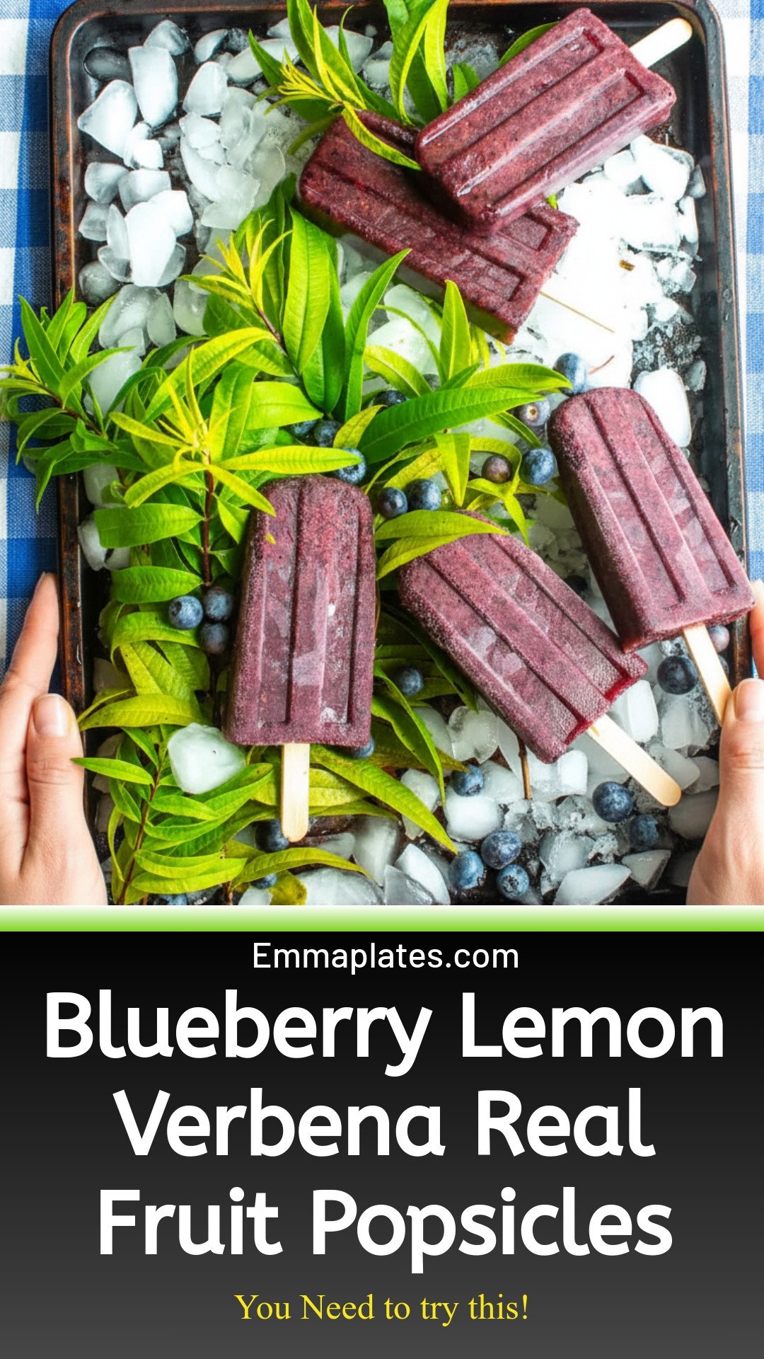 Blueberry Lemon Verbena Real Fruit Popsicles
