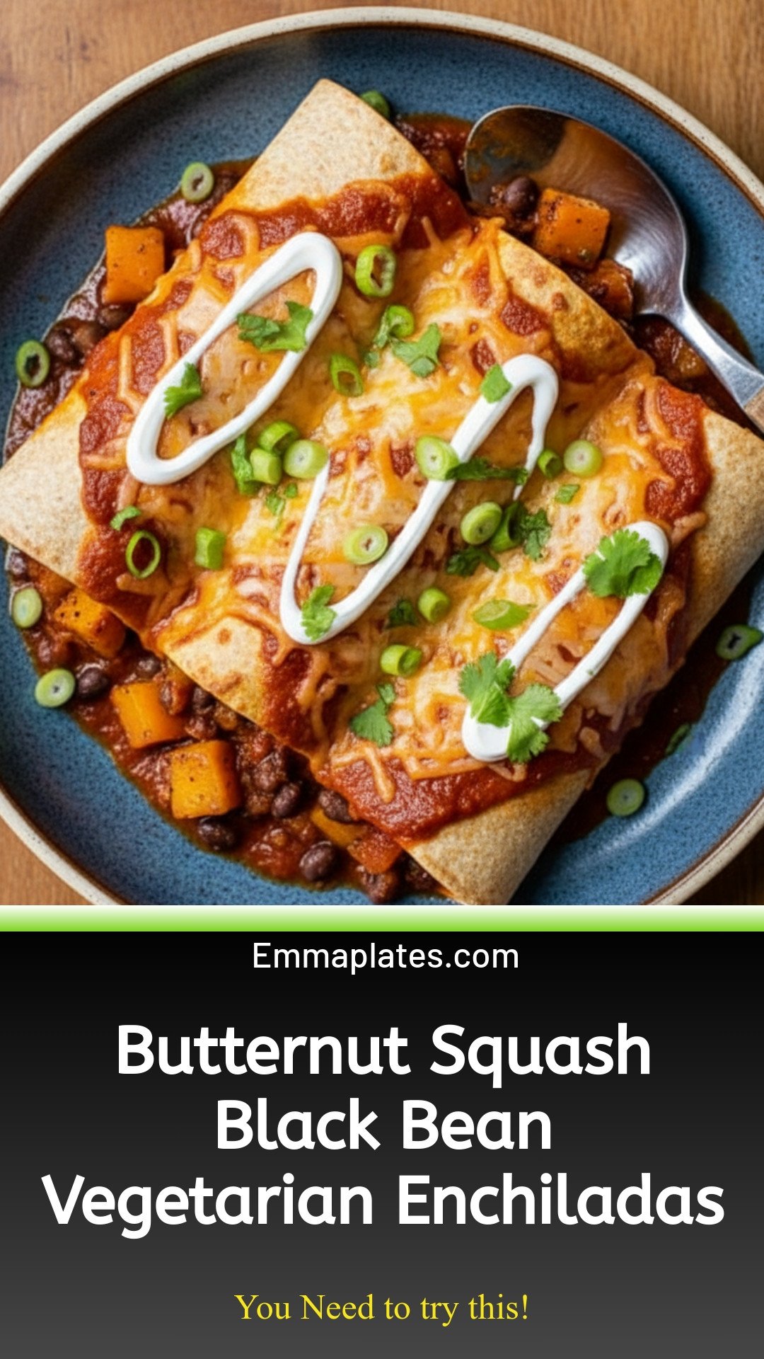 Vegetarian Enchiladas with Butternut Squash & Black Beans