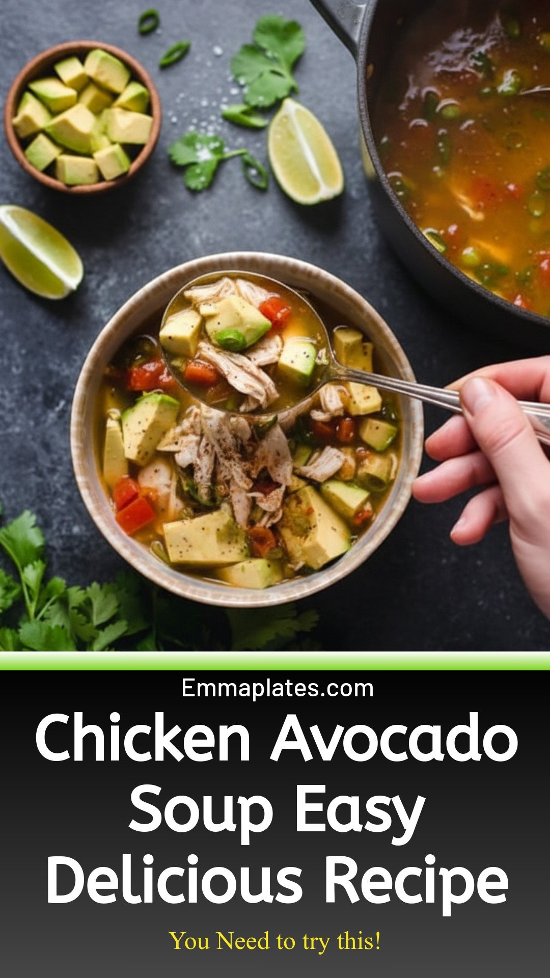 Chicken and Avocado Soup | Easy & Delicious Soup Recipe
