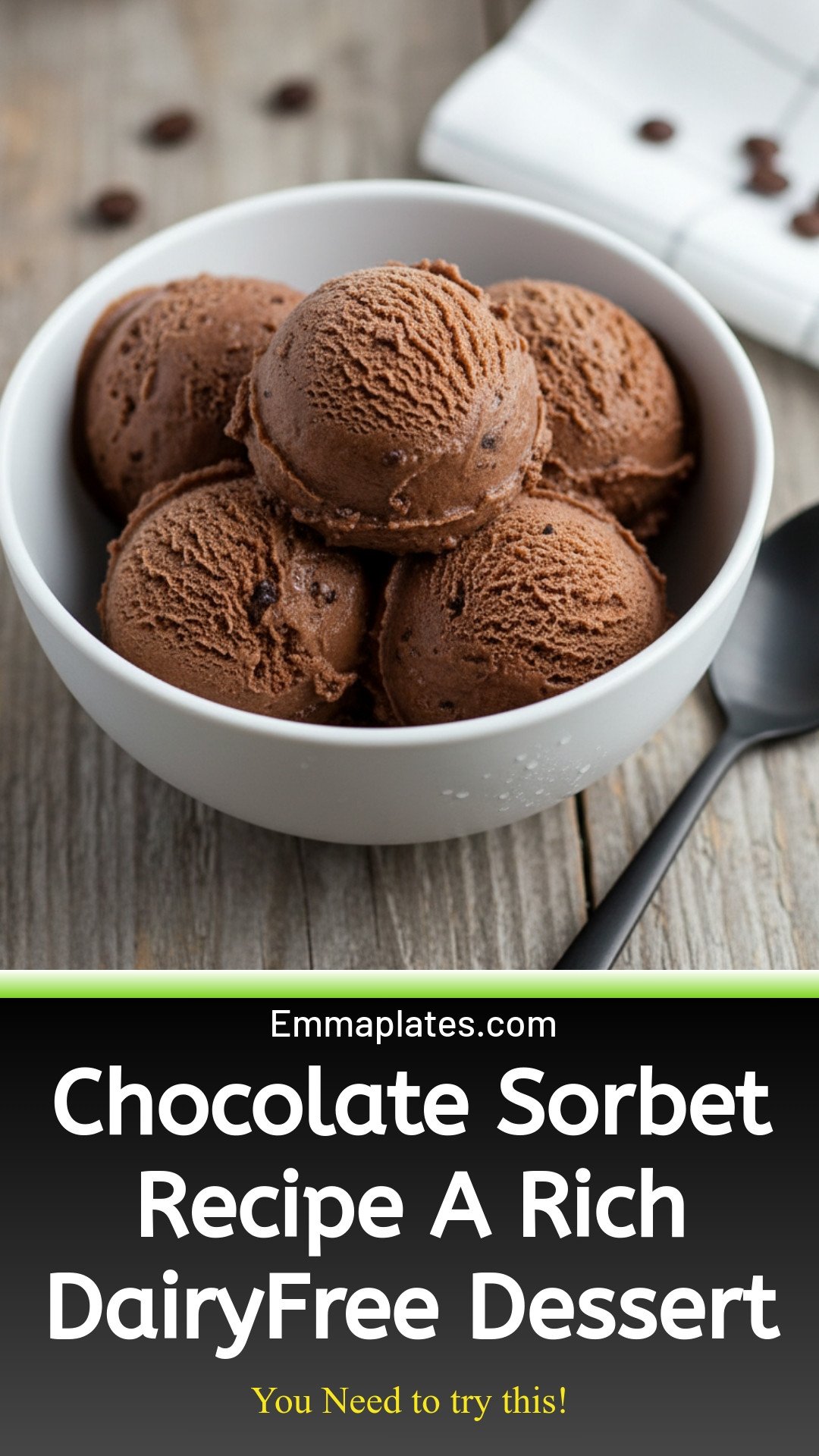 Chocolate Sorbet