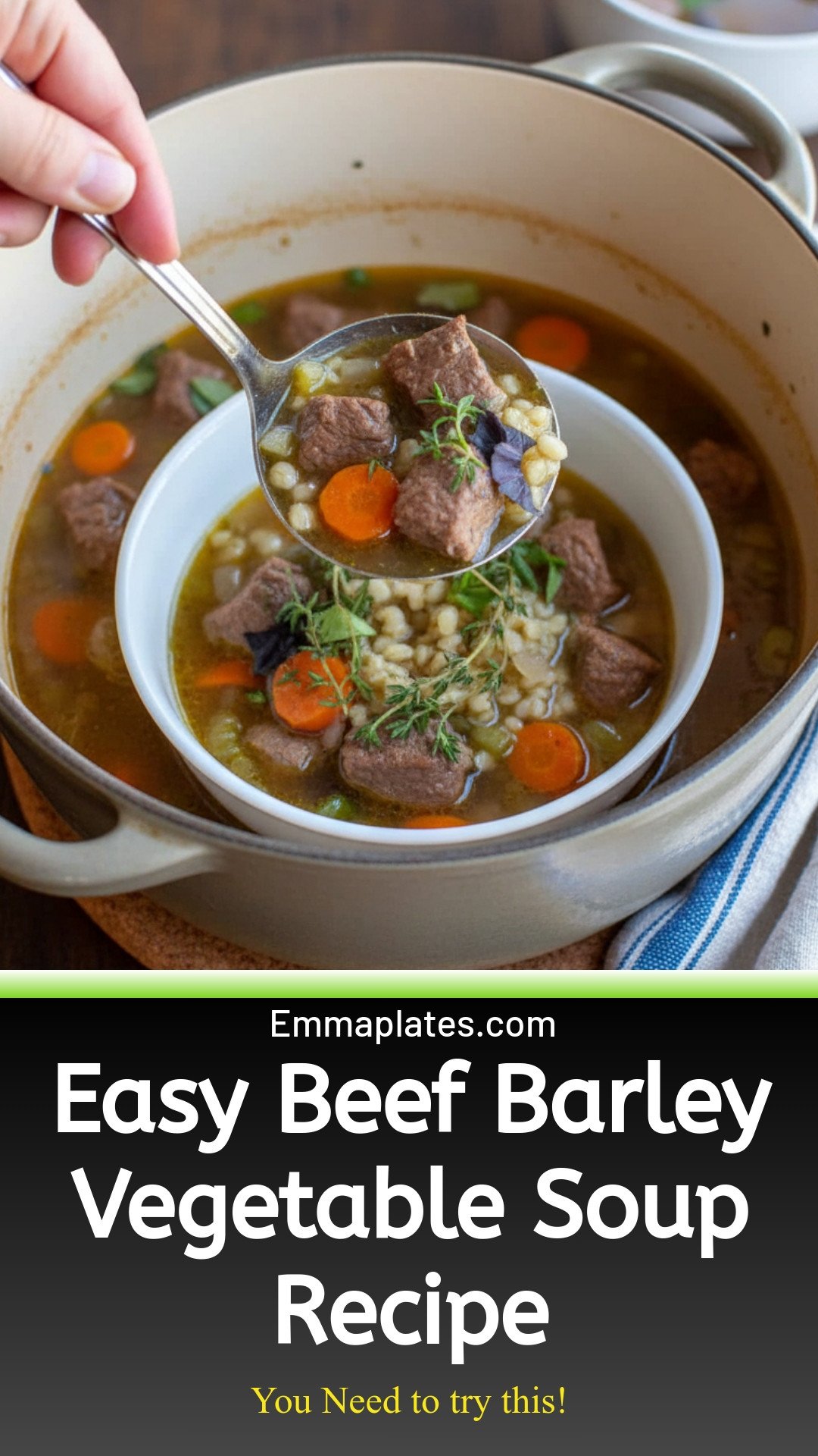 Easy Beef Barley Vegetable Soup Recipe