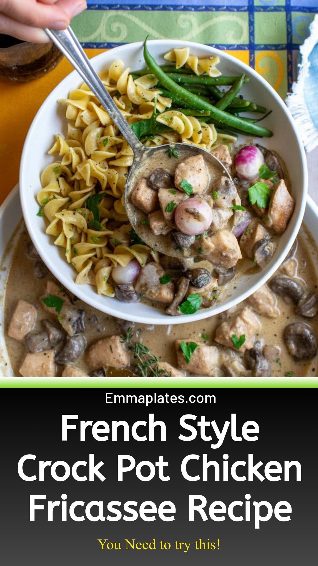 French-Style Crock Pot Chicken Fricassee Recipe