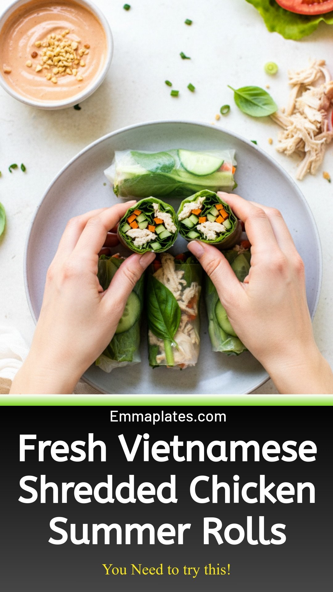 Shredded Chicken Fresh Rolls