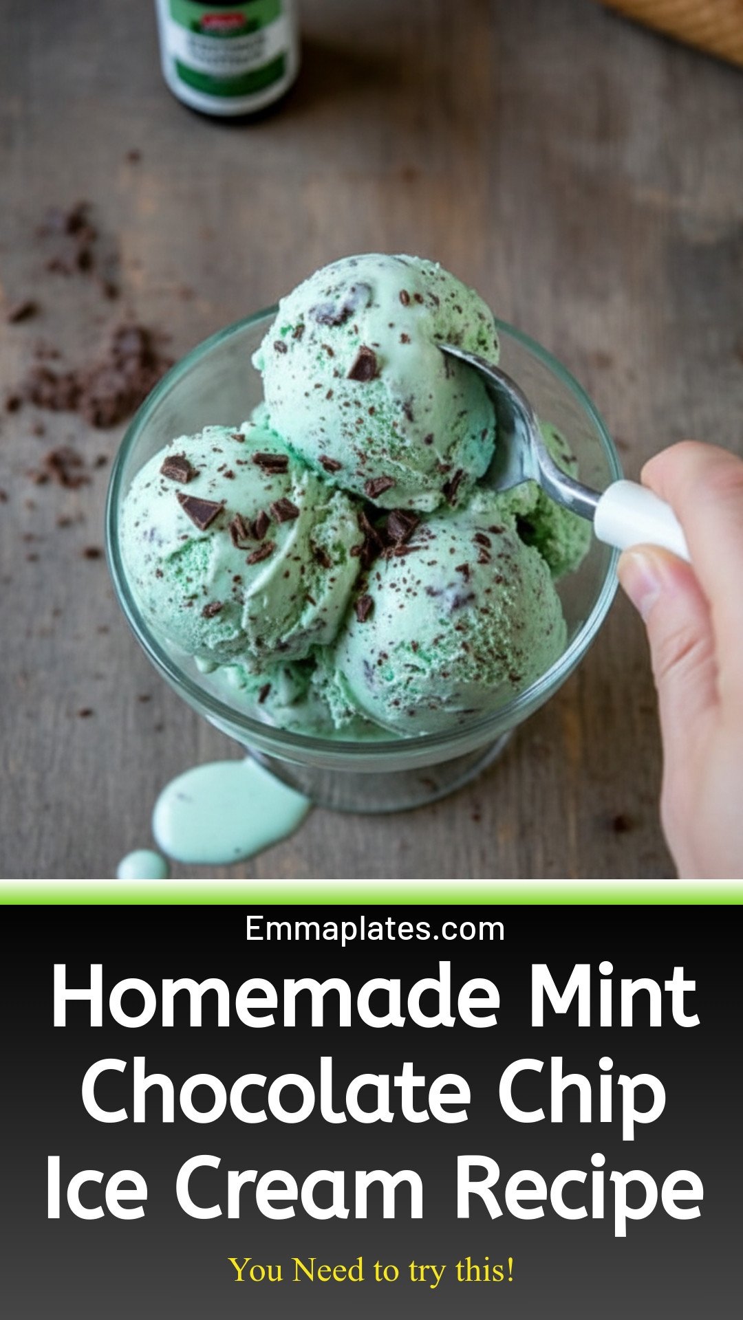 Homemade Mint Chocolate Chip Ice Cream - The Schmidty Wife