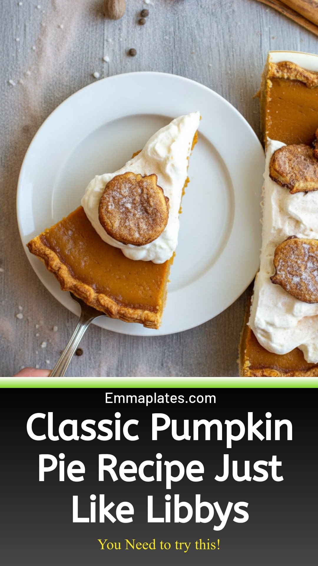 Mom's Classic Pumpkin Pie Recipe {Just Like Libby's}