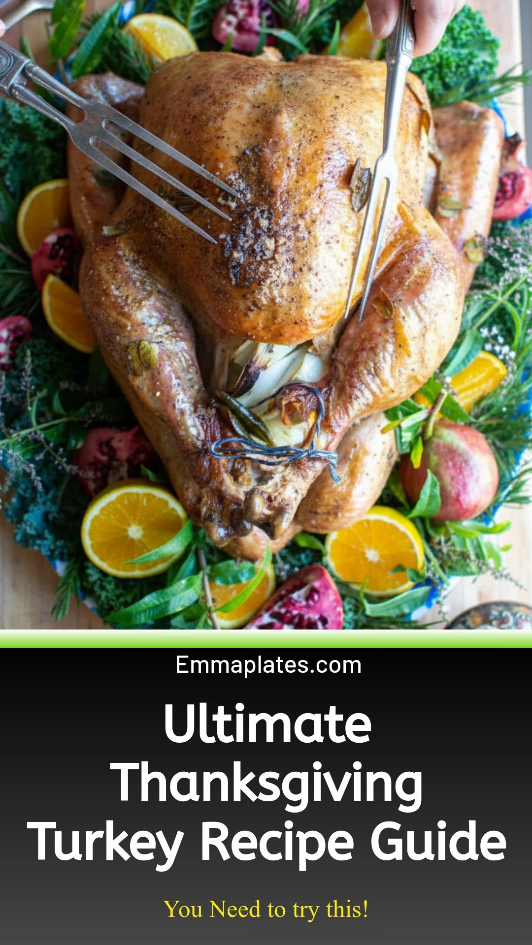 The Best Thanksgiving Turkey Recipe