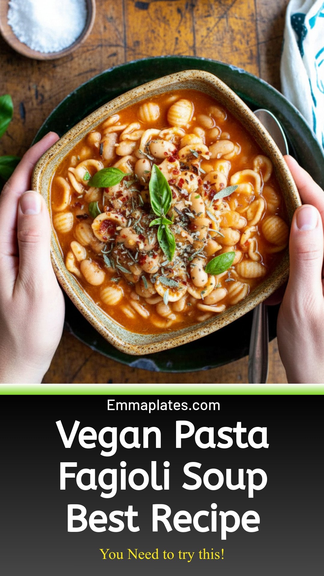 The Best Pasta Fagioli Soup Recipe {Vegan-No Meat}