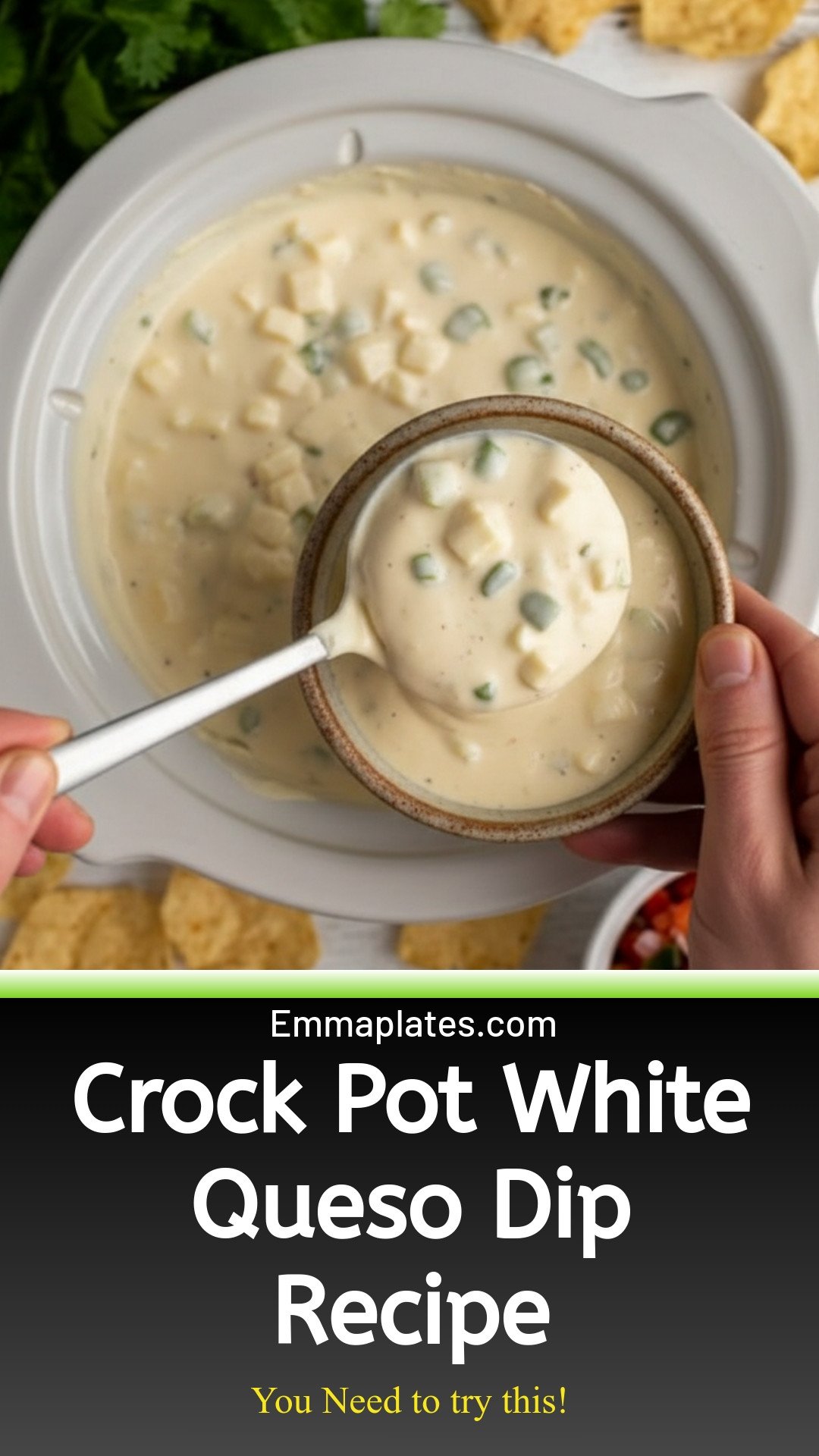 Crock Pot White Queso Dip