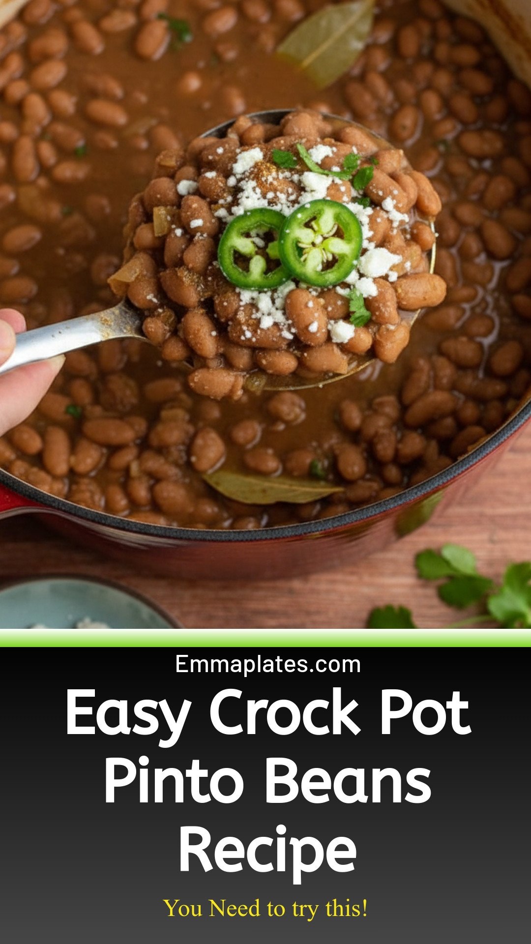 Crock Pot Pinto Beans