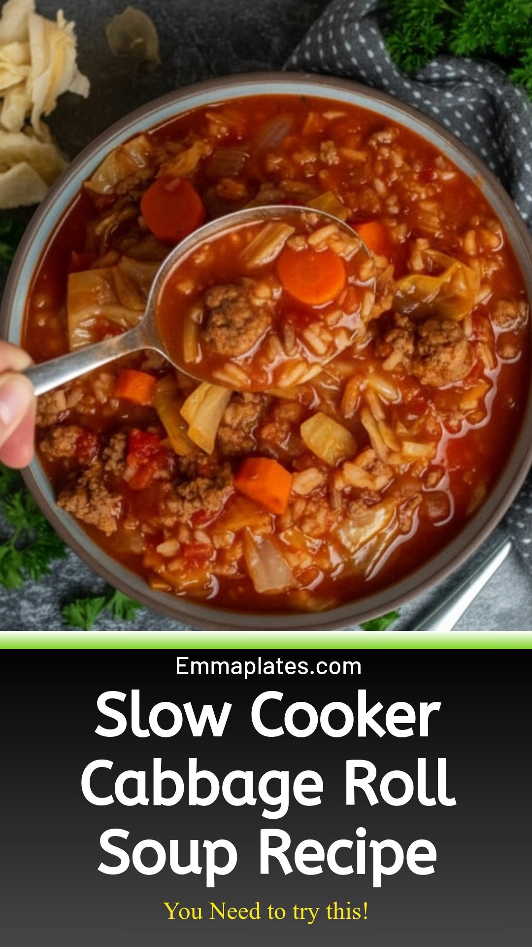 Slow Cooker Cabbage Roll Soup