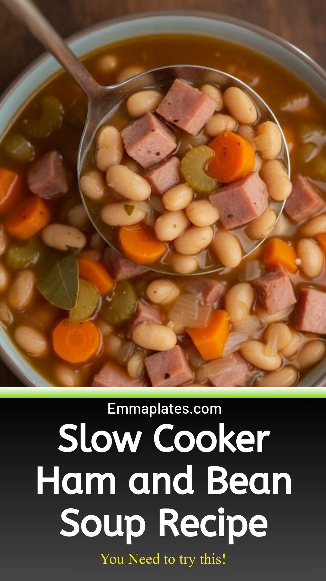 Slow Cooker Ham and Bean Soup