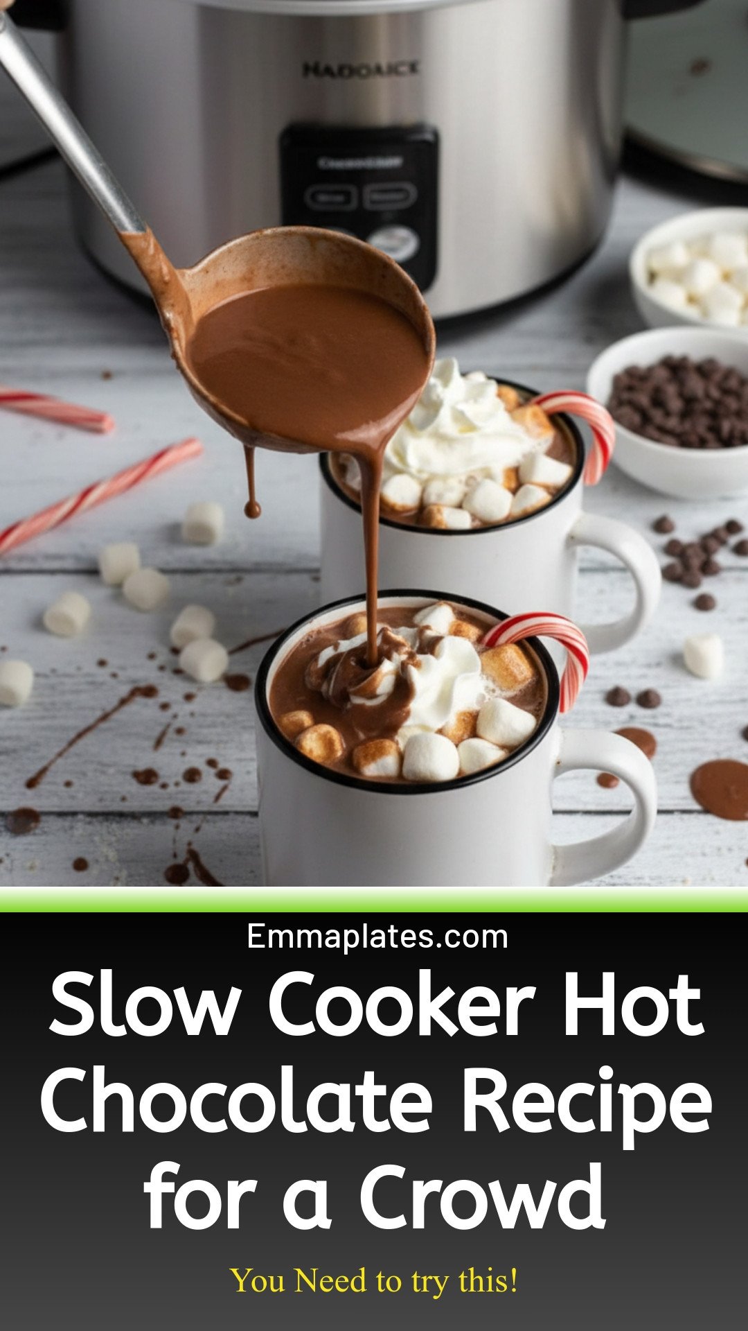 Slow Cooker Hot Chocolate