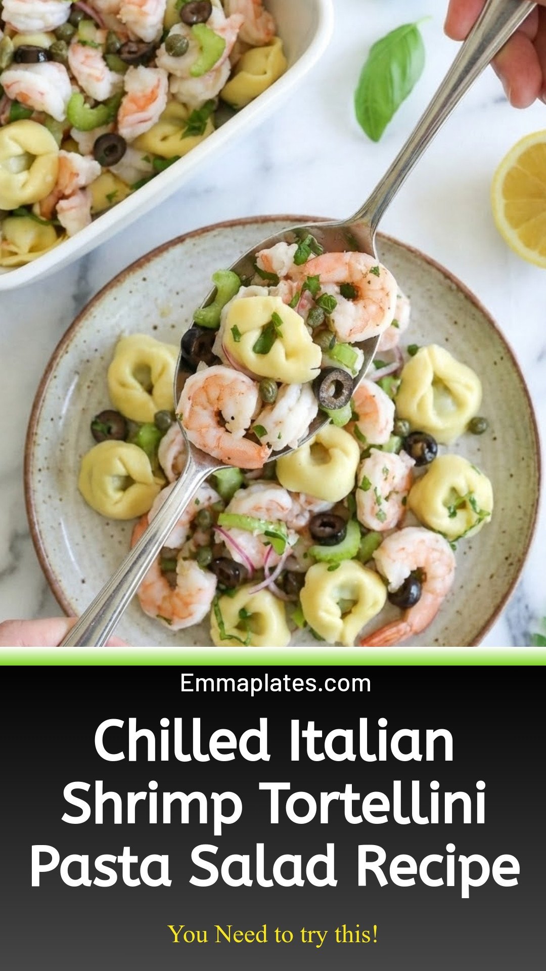 Chilled Italian Shrimp Tortellini Pasta Salad